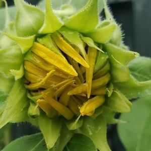 Meet your Posher, Tasia